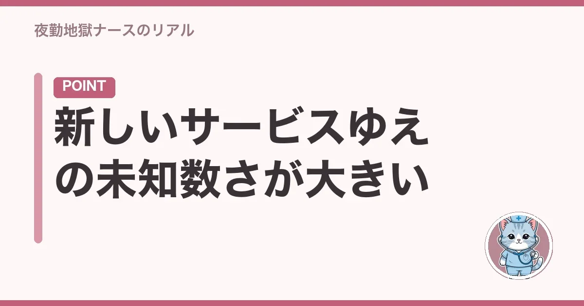 新しいサービスゆえの未知数さが大きい