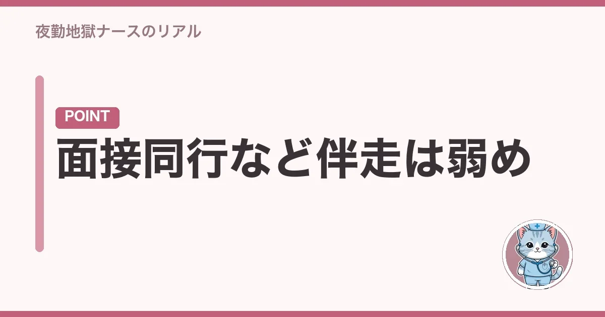 面接同行など伴走は弱め