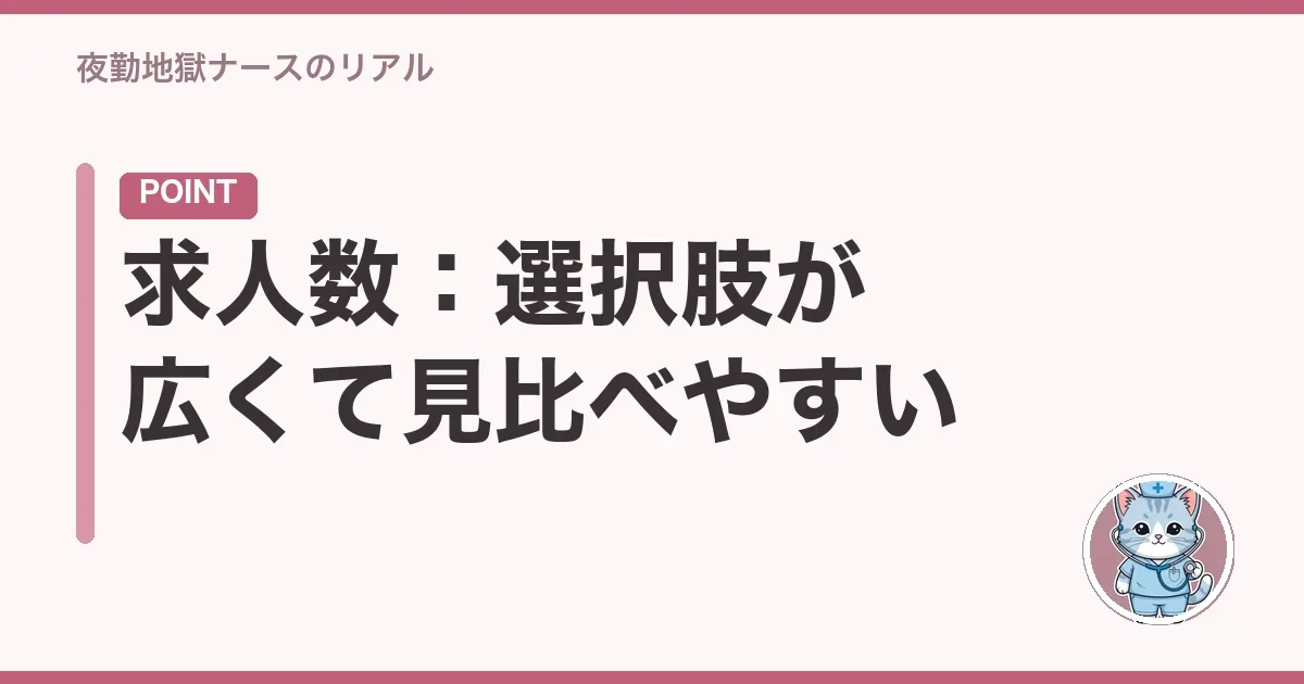 求人数:選択肢が広くて見比べやすい