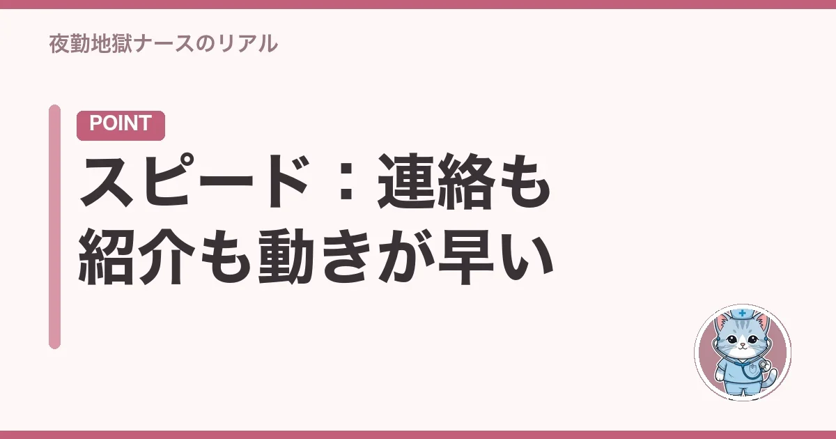 スピード:連絡も紹介も動きが早い