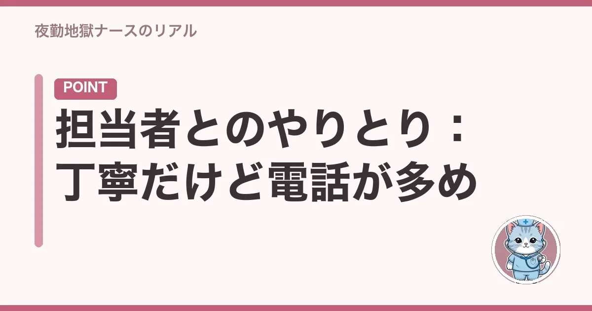 担当者とのやりとり:丁寧だけど電話が多め