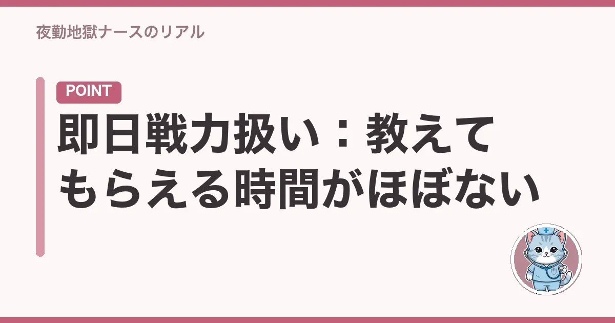 即日戦力扱い：教えてもらえる時間がほぼない