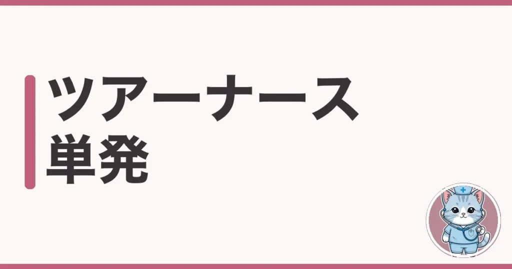 ツアーナースの単発バイトを調べた本音｜仕事内容と給料