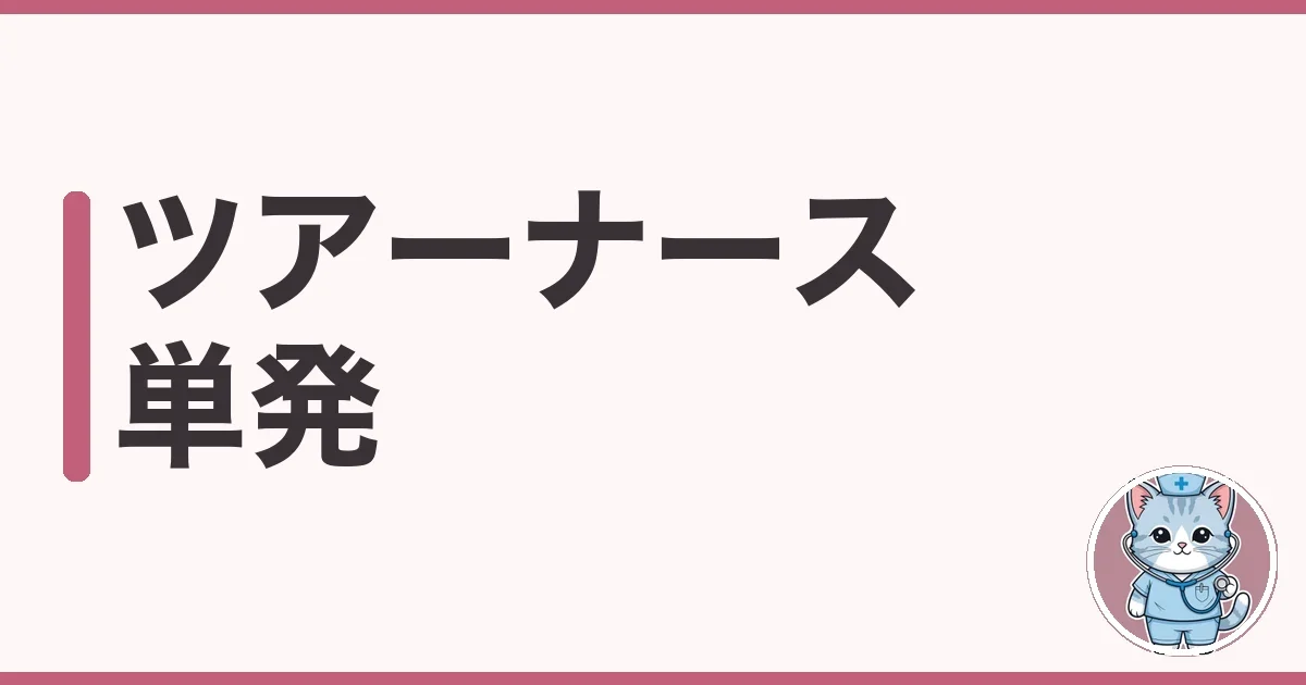 ツアーナースの単発バイトを調べた本音|仕事内容と給料
